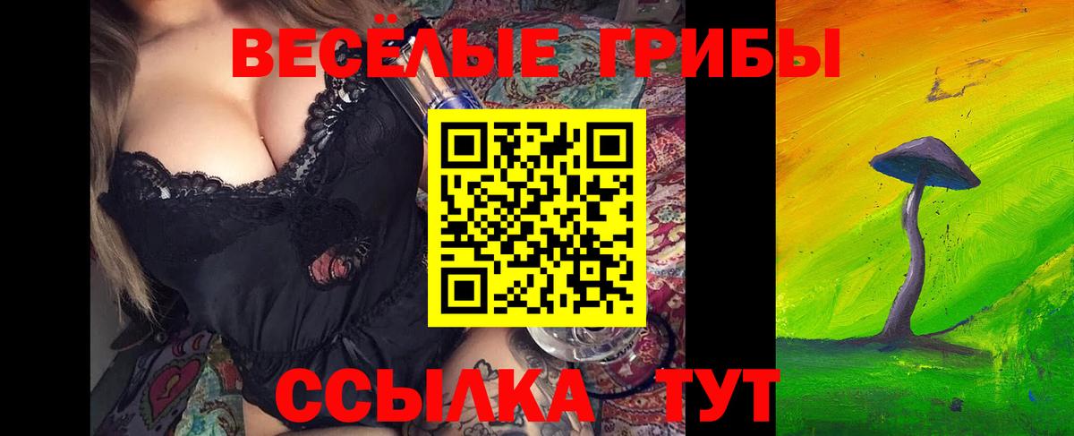 Зеленодольск  Псилоцибиновые грибы Magic Shrooms  Вход с VPN 